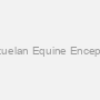 Rabbit anti-Venezuelan Equine Encephalitis (VEE) pAb